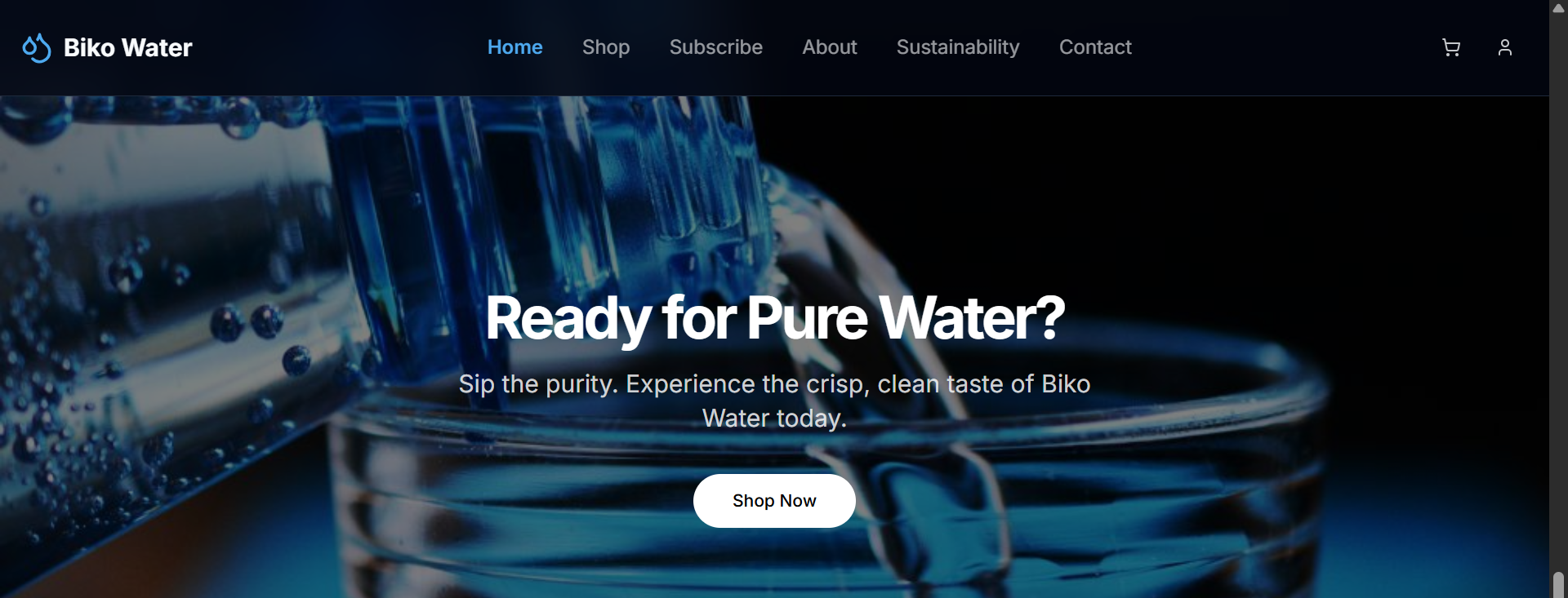 Screenshot of the Biko Aqua Web project
